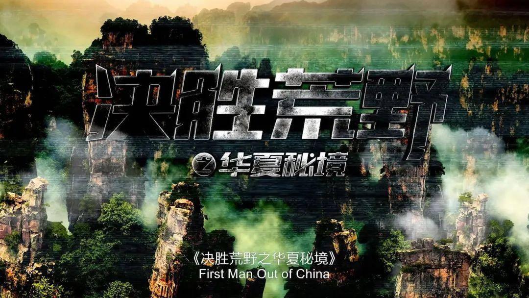 逗小猴开心系列187